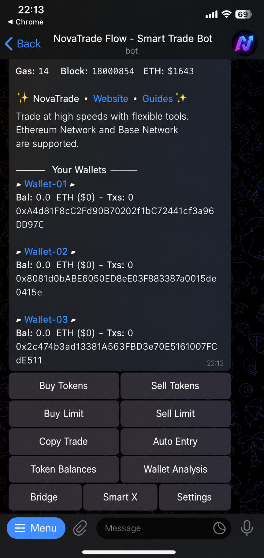 Telegram bot - using the bot